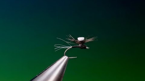 Fly Tying a Surefire midge fly with Barry Ord Clarke