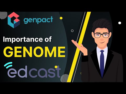 Genpact Genome Score | Effect of Genome | Genpact Genome learning |