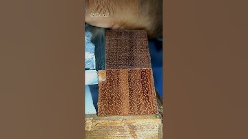 Chisel sound #diy #satisfying #chisel #asmr #woodwork #w #woodworkingprojects #woodworking