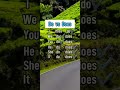 Do VS Does