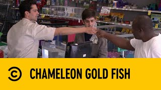 Chameleon Gold Fish | The Carbonaro | Comedy Central Africa