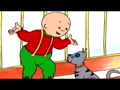 Caillou ve Kedi | Caillou Türkçe - WildBrain