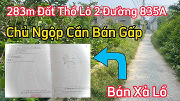 🔴 Chủ Ngộp Cần Bán Gấp 283mv Đất Thổ Giá Quá Rẻ / @baonhadatcangiuoc  / đất cần giuộc giá rẻ .