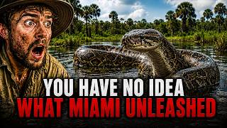 The Terrifying Reason Florida Can’t Stop the Python Invasion 😳