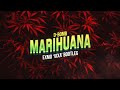 D-Bomb - Marihuana (EXMO 'Vixa' Bootleg)