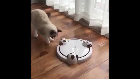 Automatic Rotating Cat Play Teaser Plate Mice Catch Toy Electric Playing Exercise Toys