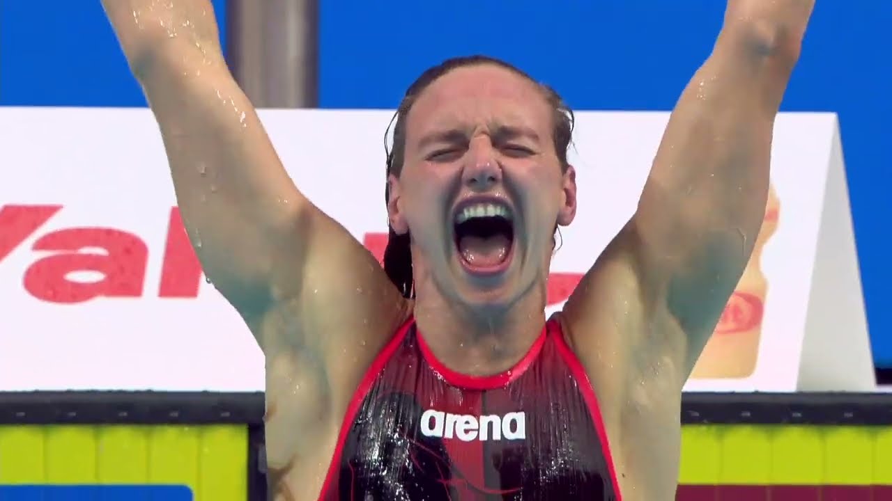 The best of aquatics  | 19th FINA World Championships Budapest