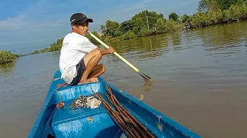 Cấm câu cá ngát trên dòng sông nhỏ.