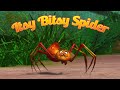 Itsy bitsy spider  nursery rhymes