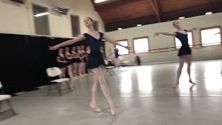 Auditioning for 2019 / Senior and pre professional course.