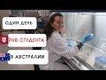 Один день из жизни PhD студента