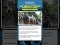 Sapi 'Mbah Iran' Terpilih Jadi Salah Satu Sapi Kurban Presiden Prabowo Subianto: Peternak Bahagia