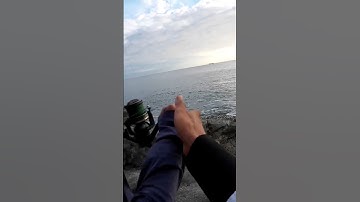 Kéo cá bị ngược tay quay #cauca #fishing #caucabien #shorts