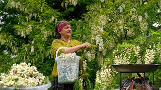 Acacia flower harvest in the Caucasus Mountains! - Making fresh Acacia flower jam in the village
