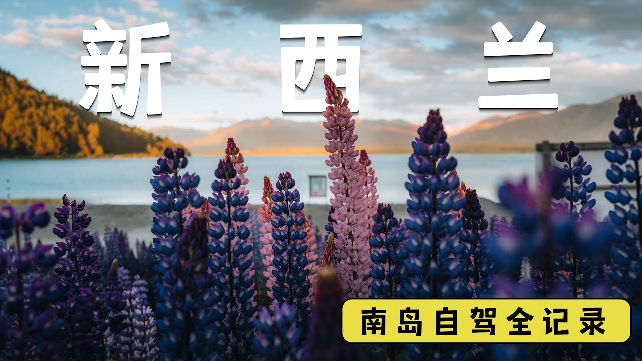 后悔没早点来！这大概是世界上最纯净的地方了｜新西兰南岛自驾 VLOG｜4K
