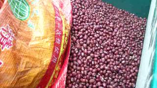bean polishing machine test on red bean