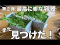 【穴あけ作業なし！第2弾！】ダイソーでまたシンデレラフィット＆最高に楽な容器見つけちゃったよ‼︎‼︎‼︎#水耕栽培#葉物野菜#水耕栽培の容器#ダイソー#家庭菜園#室内栽培#100均#小松菜#水菜