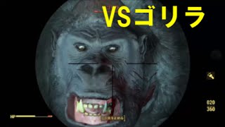 fallout4  ゴリラいた