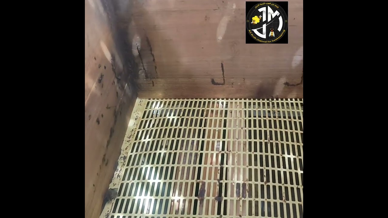 تكذيب الخلايا وعلاجها