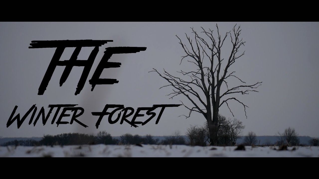 THE WINTER FOREST - CINEMATIC