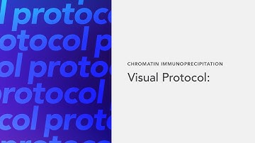 Chromatin Immunoprecipitation Visual Protocol