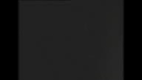 Self-Propelled Antiaircraft Automatic Weapons