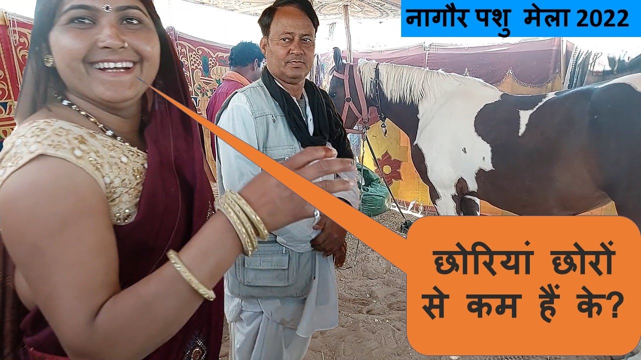 देख लो औरत घोड़े की सौदेबाजी कैसे करती है Woman With Horse Video Nagaur Horse Market Pashu Mela