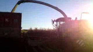 10.10.16 Farming Life [15.1] Corn Harvest, forage maize