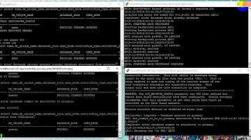 Dataguard   Switchover and switchback  complete video