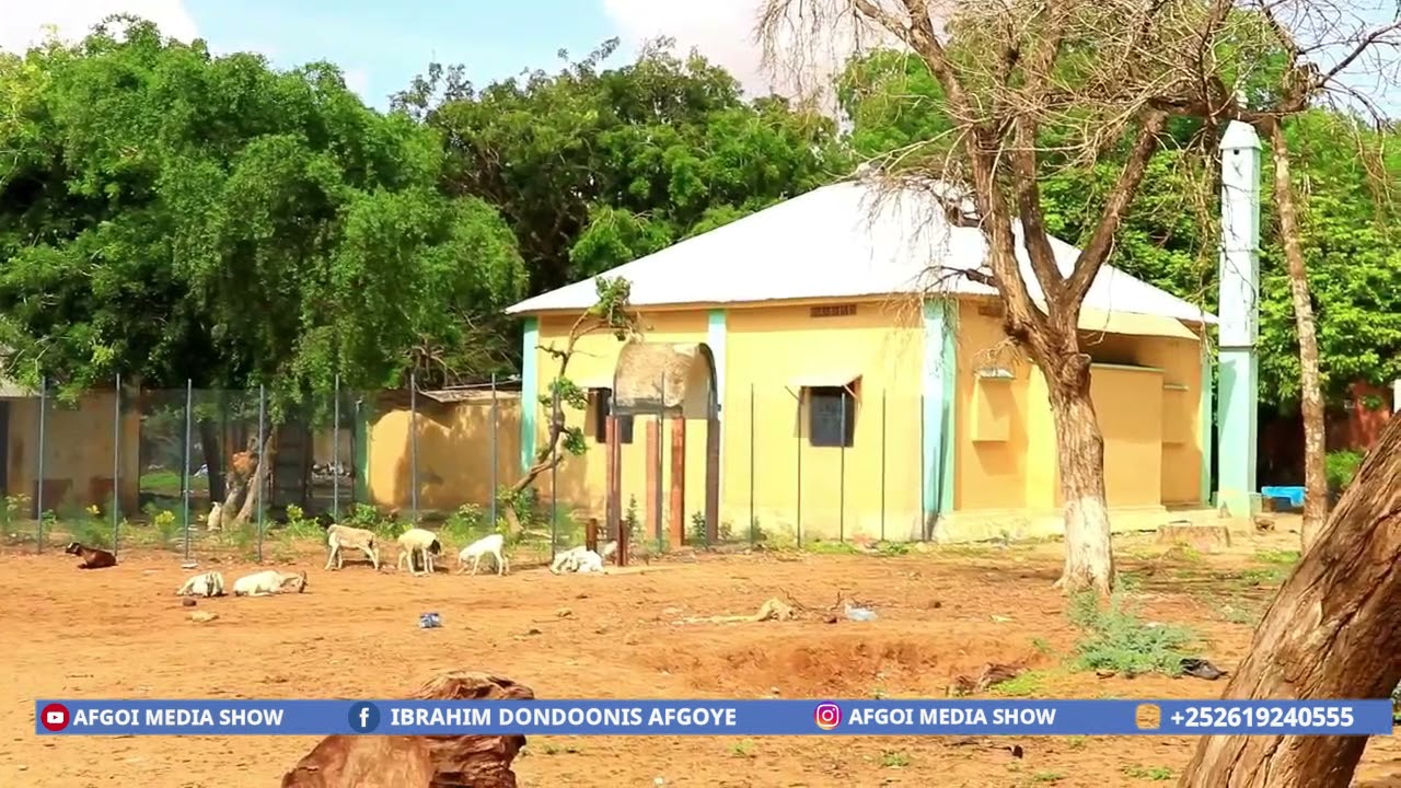 #HEES HABLOD XUSUUSTI CUSMAAN CALI MAROOW