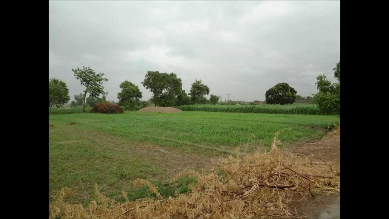 Punjabi Poetry Pardesi Putter Di MAA : Jad da puttar Baher Ghia hay ...