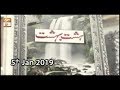 Watch Hasht Bahisht - 5th January 2019 - ARY Qtv Online In HD