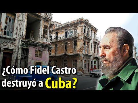 At the beginning of the last century, Cuba was a country with a promising future. The island's economy was growing exponentially thanks to the export of its star product, sugar. The island's...