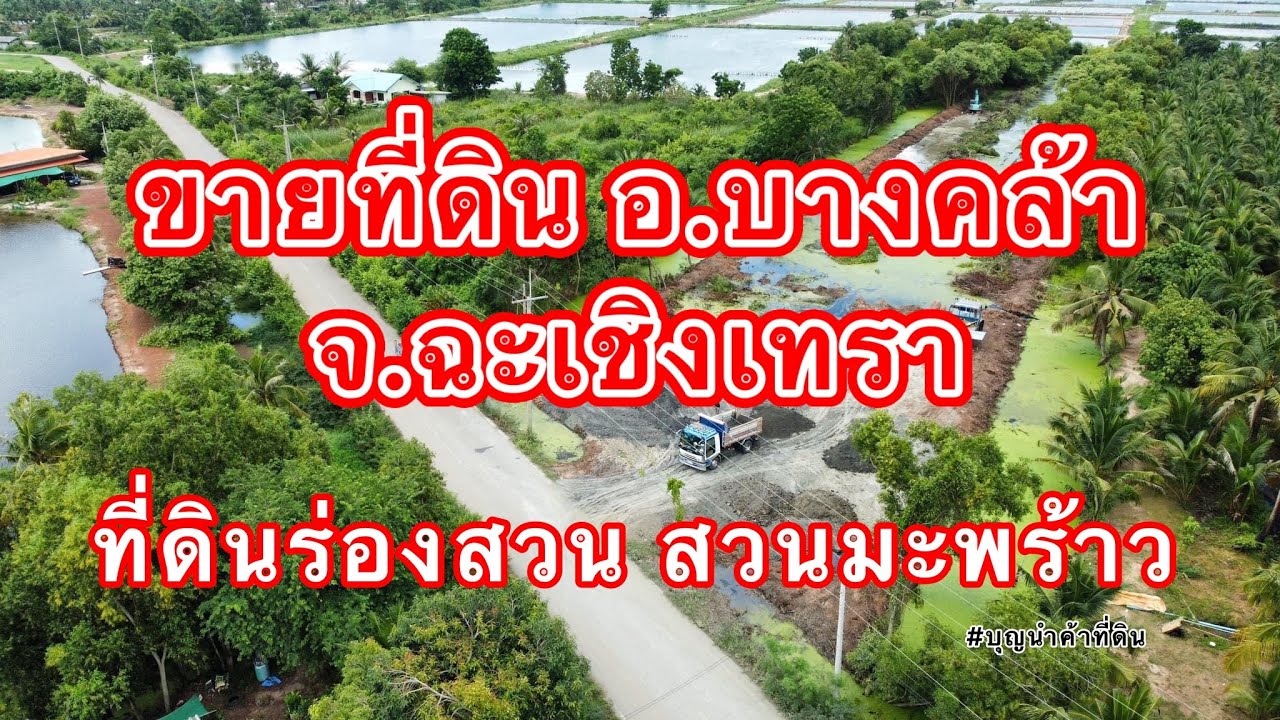 แปลงใหม่ บรรยากาศดี บ้านสวน อ.บางคล้า จ.ฉะเชิงเทรา