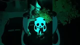 Cutest Color-Changing Panda Night Light for Kids' Room | Stress Relief Silicone Lamp #panda