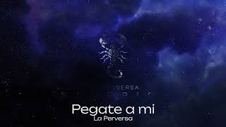 La Perversa - Pegate a Mi (Visualizer) @mapanegromusiic