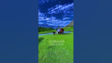 ياسر الدوسري سورة الشعراء ولا تخزني يوم يبعثون #القرآن_الكريم