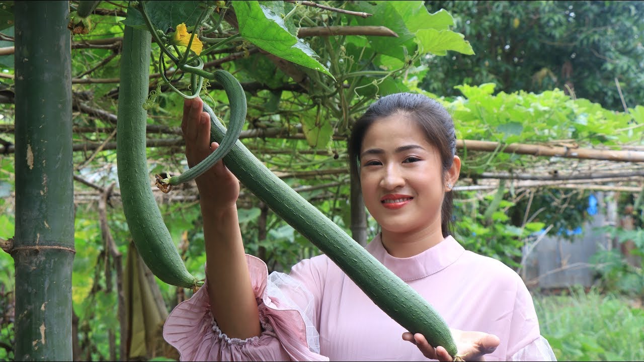 Stuffed Snake Gourd Recipe - Snake Gourd Recipe cooking by countryside ...