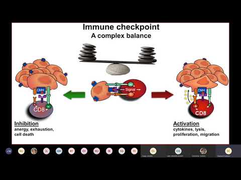 Vidéo: Réponse à Une Thérapie Ciblée Ou à Une Chimiothérapie Après Immunothérapie Chez Des Patients Atteints De Cancers Gastro-intestinaux - Une Série De Cas