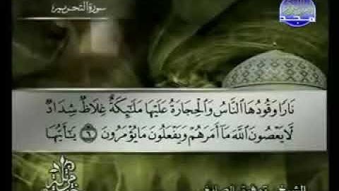 066 سورة التحريم كاملة الشيخ توفيق الصائغ Tawfik as Sayegh