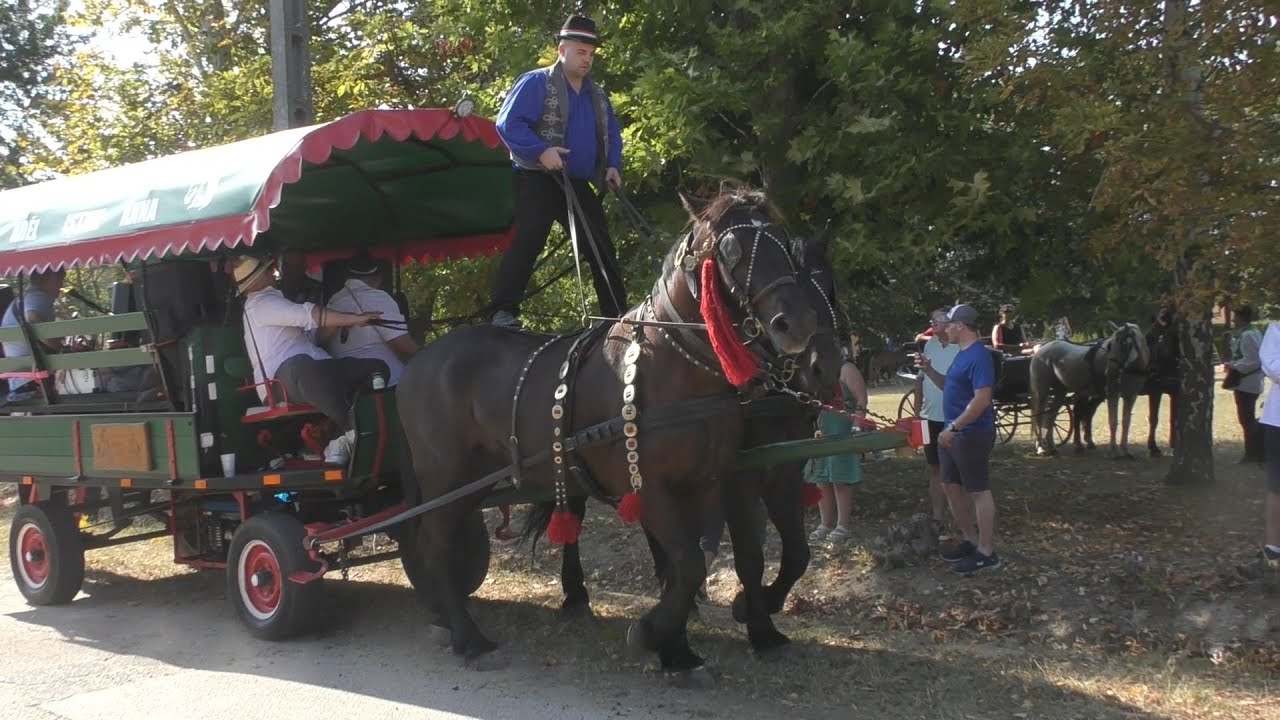 Szüreti felvonulás Lajosmizse - Gazdakör