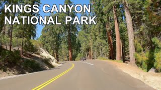 Kings Canyon National Park 4K scenic drive | California