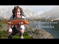 The Golden Trout Chronicles- Fly Fishing for trophy Golden Trout