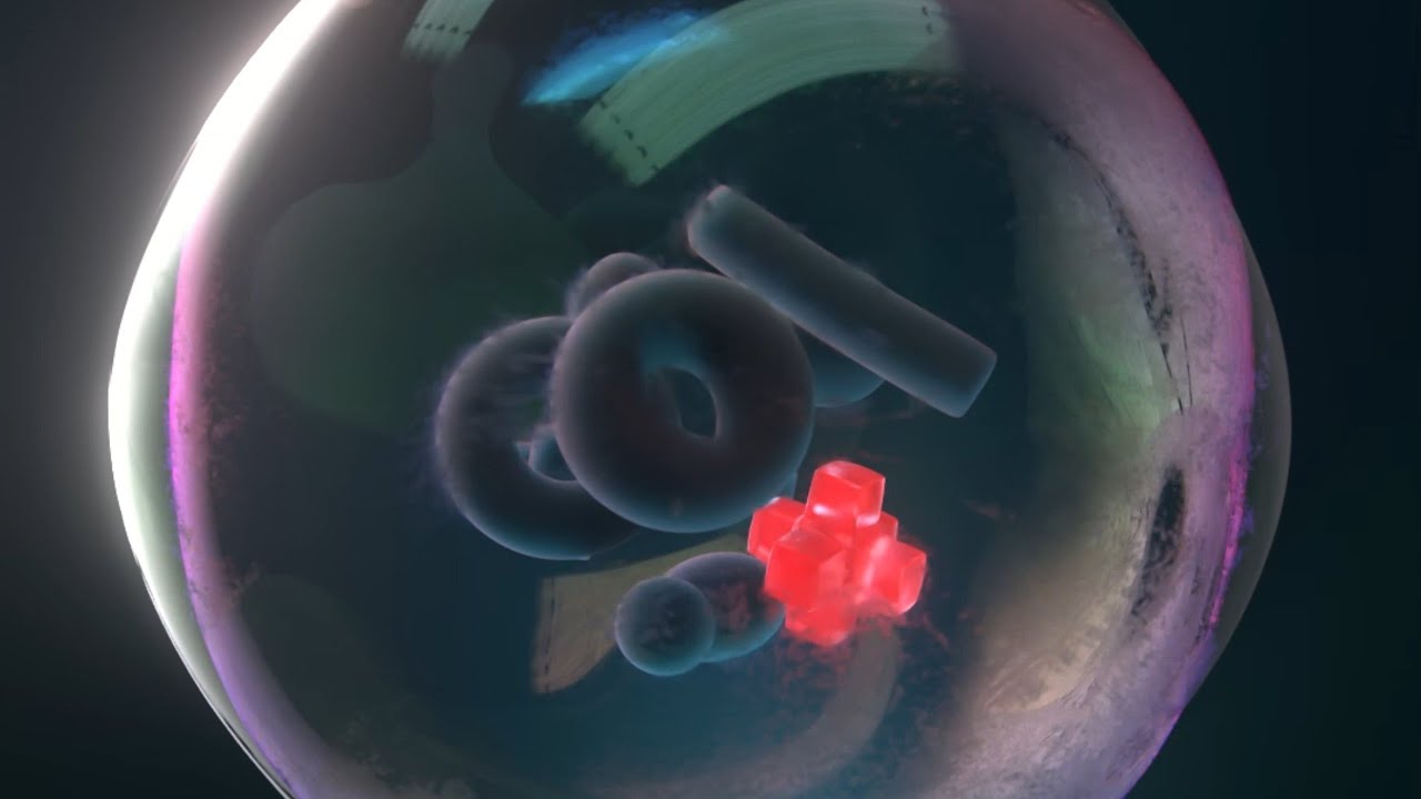 Soft Body Simulation with Maya and C4D - Speed Art