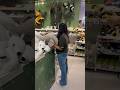 Bangalore Diaries Ep. 3 | A Day at IKEA Bangalore 🛒