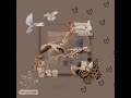تامر عاشور بقول عادي استوري واتساب Tamer Ashor تامر عاشور بقول عادي استوري واتساب Tamer Ashor