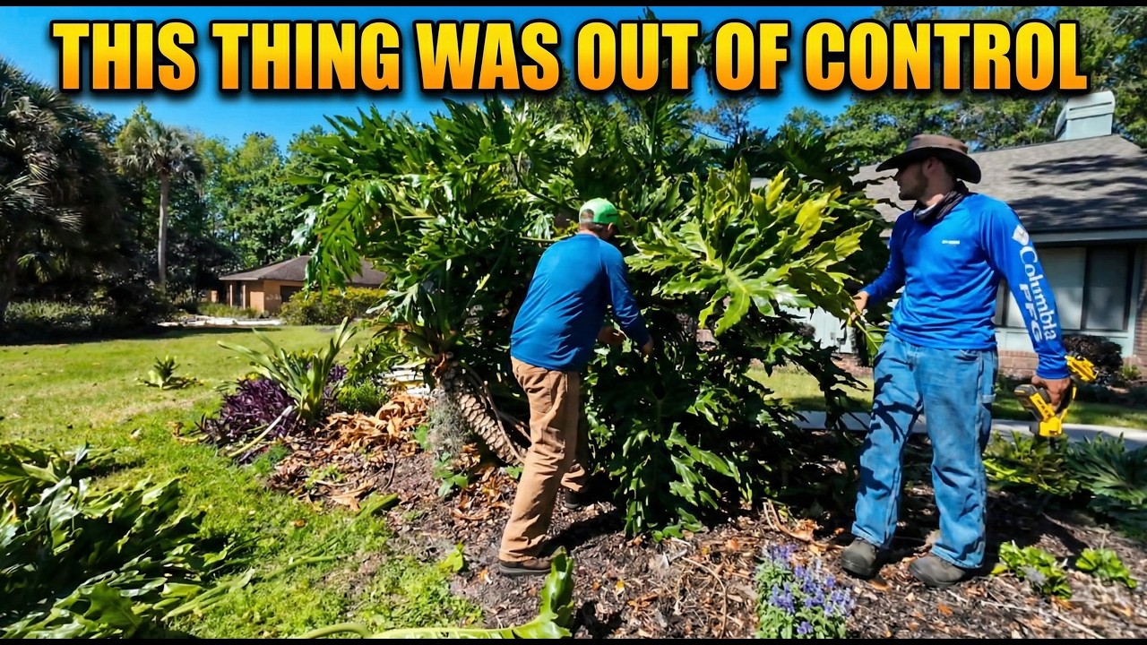 Full Yard Refresh Transformation! 🌿 Cleanup, Edging & Mulch Installation