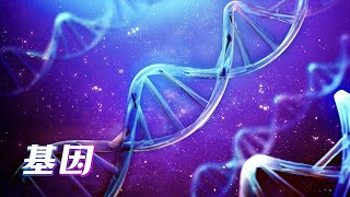 你真的了解DNA吗？诠释生命的意义【宇宙自然生命简史】