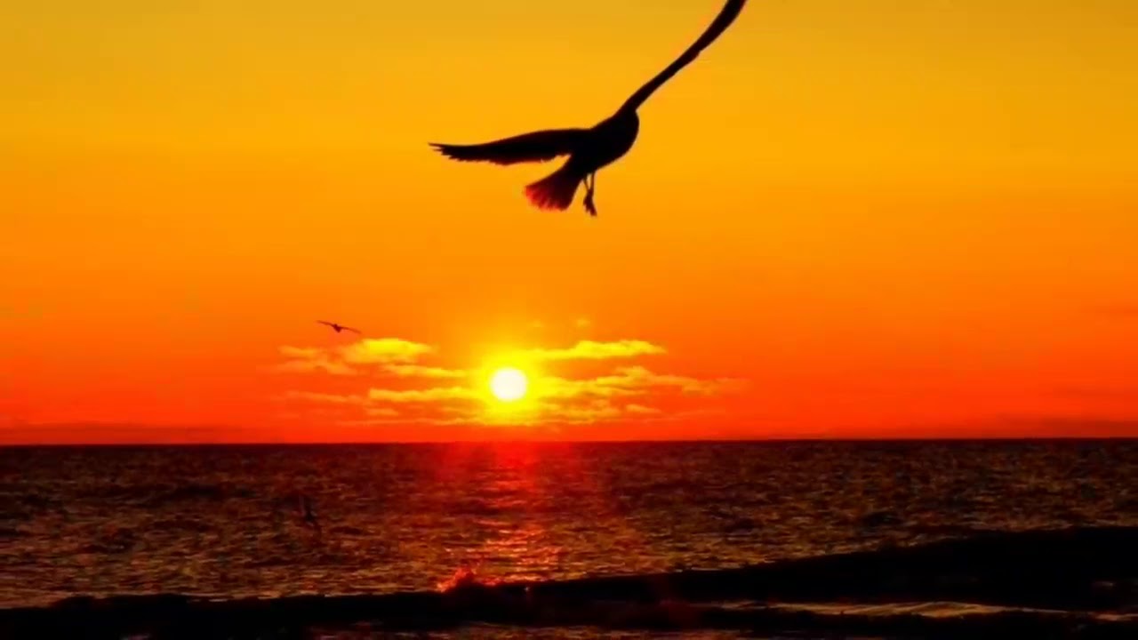 NOWOŚĆ Mówili na nią Słońce