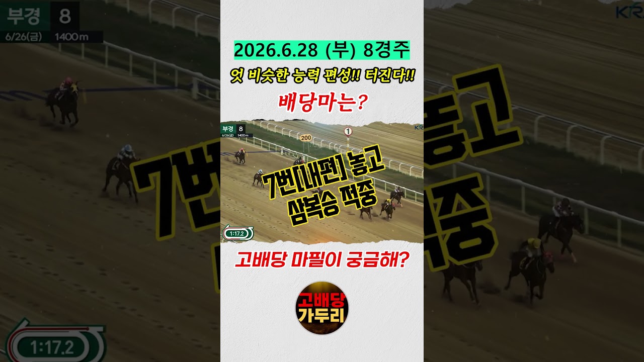 고배당 마필이 궁금해??